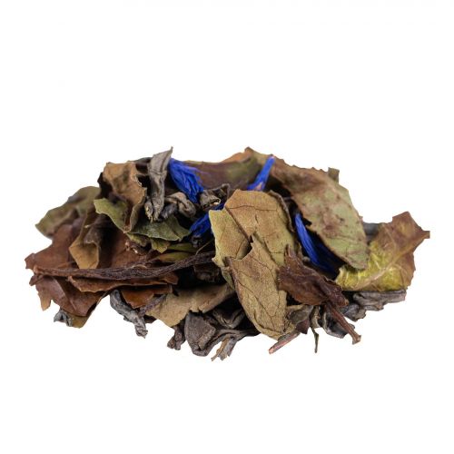 Image supplémentaire